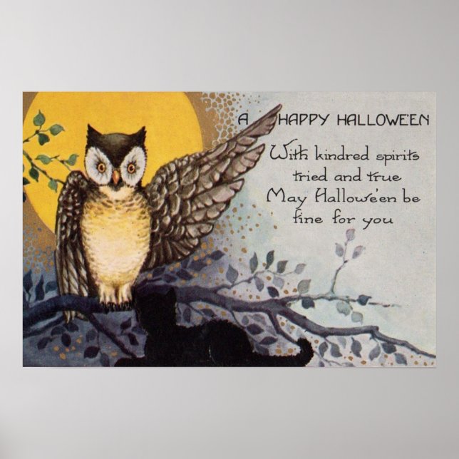 Poster Chouette Chat Noir Pleine Lune Arbre Nuit (Devant)
