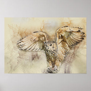 Poster Chouette de vol