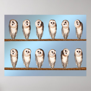 Poster Chouettes curieuses