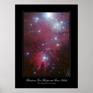 Poster Christmas Tree Cluster and Cone Nebula