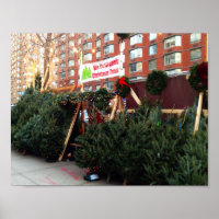 Christmas Tree Stand Upper West Side New York City