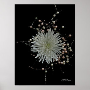 Poster Chrysanthème & Perles