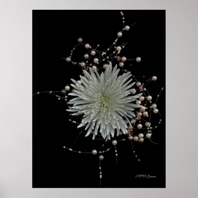 Poster Chrysanthème & Perles (Devant)
