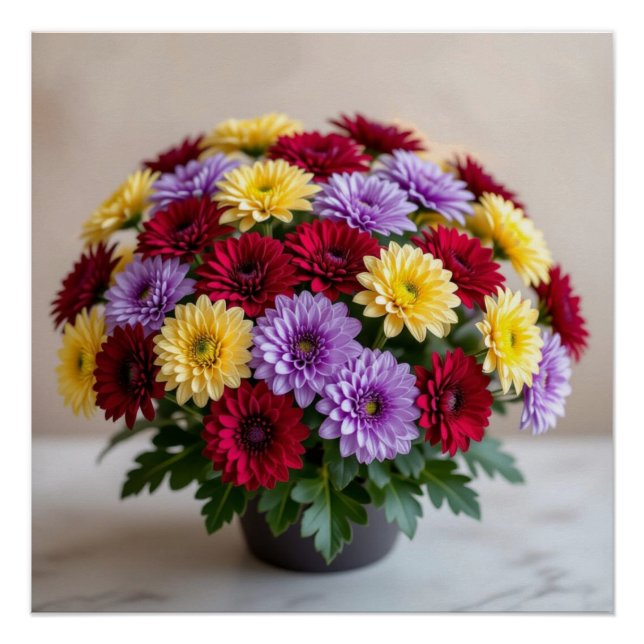 Poster Chrysanthemum (Devant)