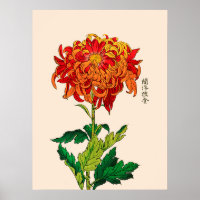 Chrysanthemum japonais vintage. Rouille et orange