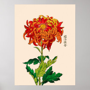 Poster Chrysanthemum japonais vintage. Rouille et orange