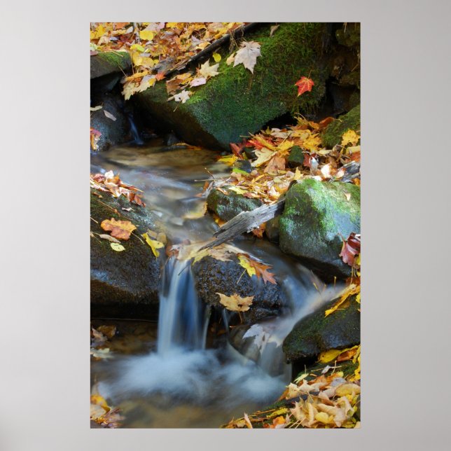 Poster Chutes de Teskawata (Devant)