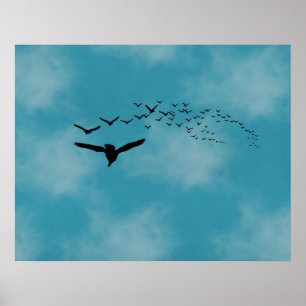 Poster Ciel avec oiseaux
