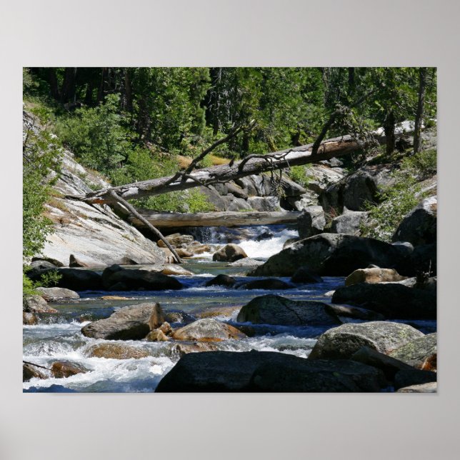 Poster "Ciel de neige" (Devant)