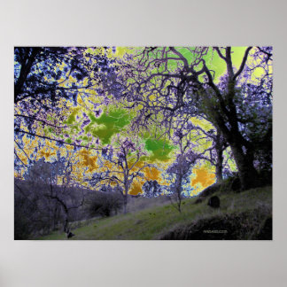 Poster ciel psychédélique vert et jaune