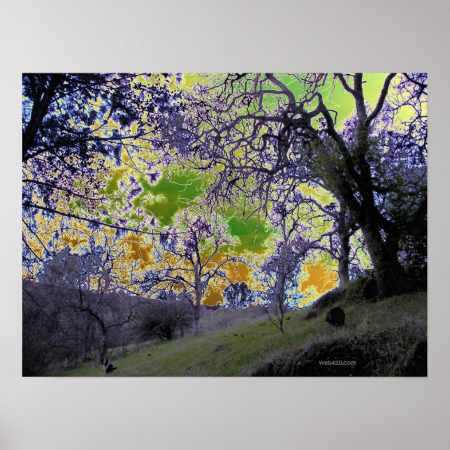 Poster ciel psychédélique vert et jaune (Devant)