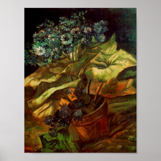 Poster Cineraria dans un pot à fleurs, Art raffiné Van Go