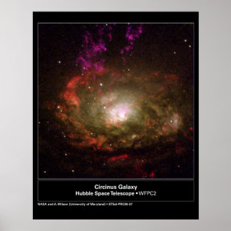 Poster Circinus Galaxy Hubble Telescope