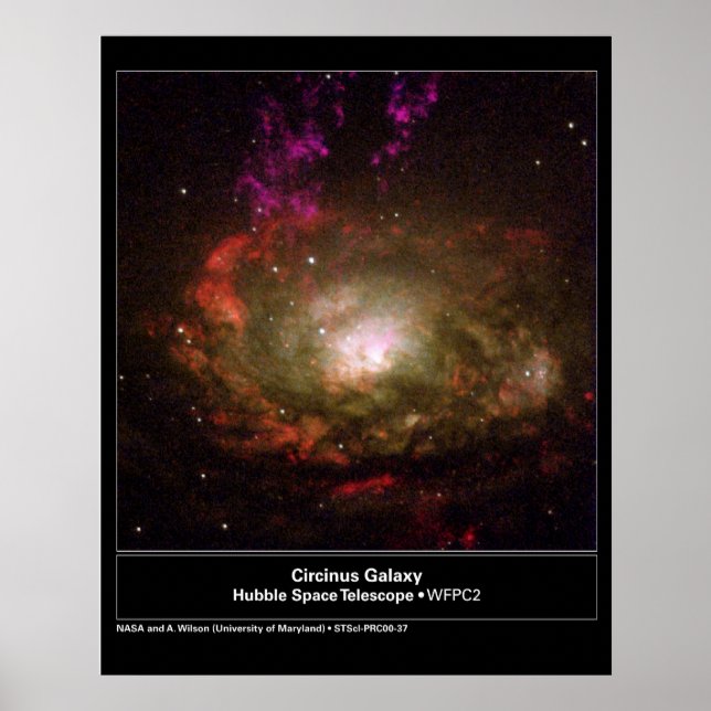Poster Circinus Galaxy Hubble Telescope (Devant)