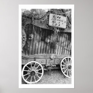 Poster Circus Wagon