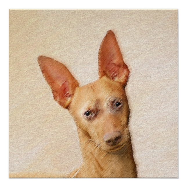 Poster Cirneco dell’Etna Peinture - Cute Original Chien A (Devant)