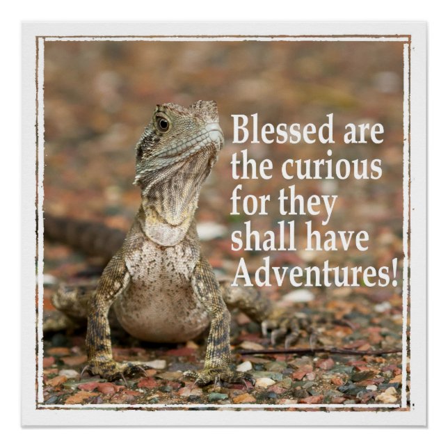 Poster Citation curieuse (Devant)