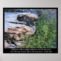 Citation de bois de chauffe et de zola