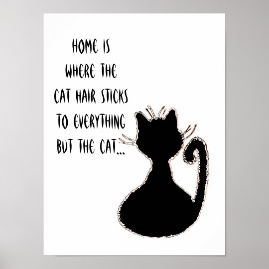 Poster Citation De Cheveux De Chats Amusants Cat Noir Sil Zazzle Fr