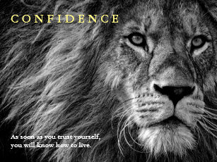 Posters Affiches Toiles Citation Lion Zazzle Fr