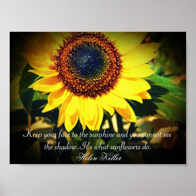 Poster Citation de Helen Keller sur Sunflower : (Devant)