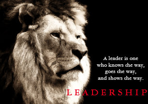Posters Affiches Toiles Citation Lion Zazzle Fr