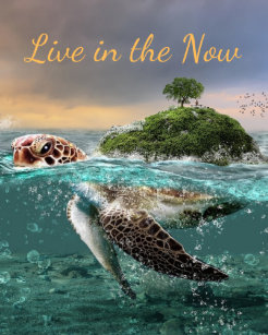 Posters Affiches Peinture De Tortue Zazzle Fr
