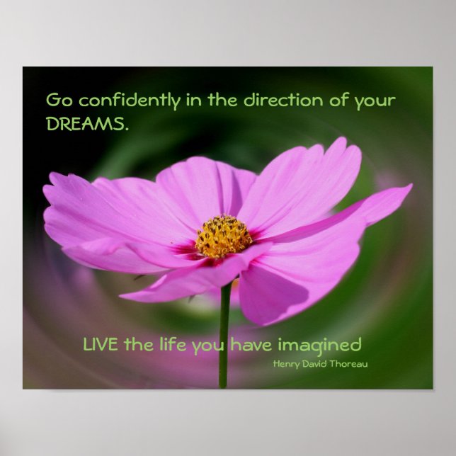 Poster Citation Dreams Cosmos Flower Inspirational (Devant)