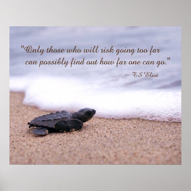 Poster Citation inspirante Baby Sea Turtle Sand Ocean (Devant)
