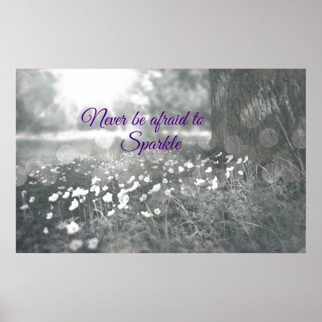 Poster Citation inspirante Ne jamais avoir peur de s'écro (Devant)