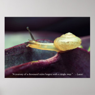 Poster Citation motivationnelle Persévérance