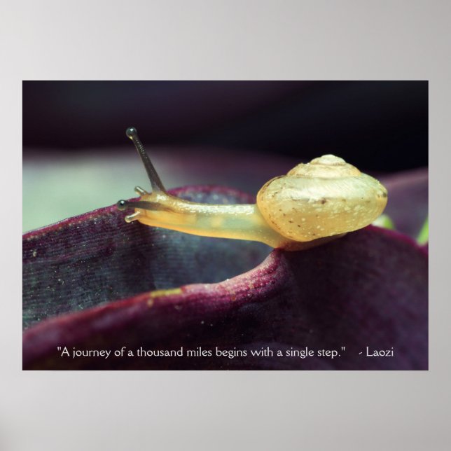 Poster Citation motivationnelle Persévérance (Devant)