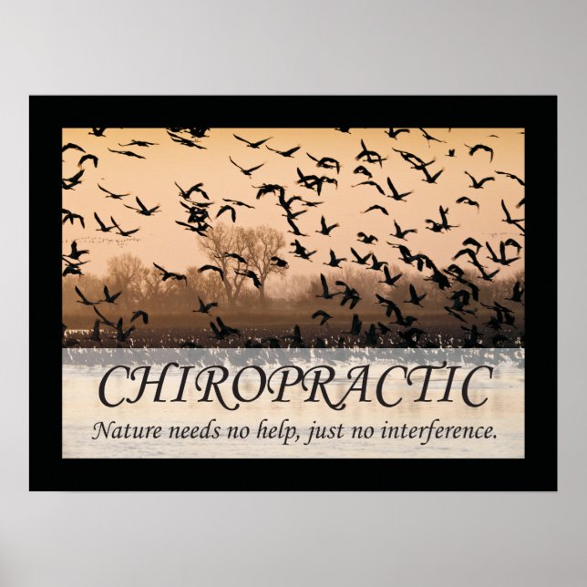 Poster Citations et déclarations de chiropratique Nature (Devant)