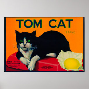 Poster Citron LabelOrosi, CA de chat de Tom