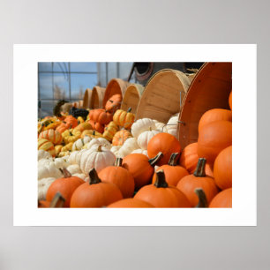 Poster Citrouille d'automne