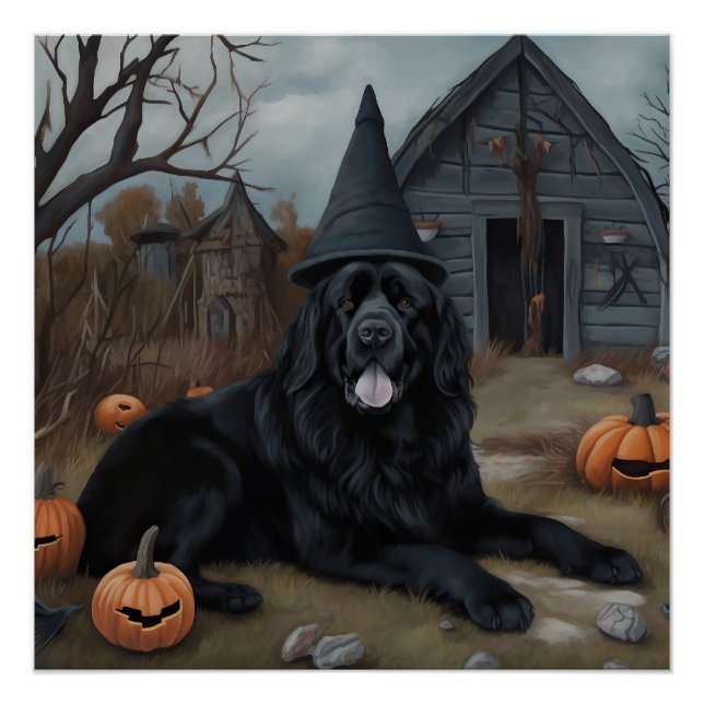 Poster Citrouilles d'Halloween effrayantes de Terre-Neuve (Devant)