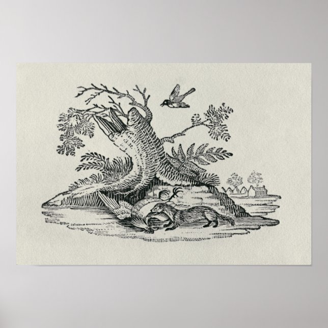 Poster Civet avec Cockerel de 'Histoire des Quadrupeds' (Devant)