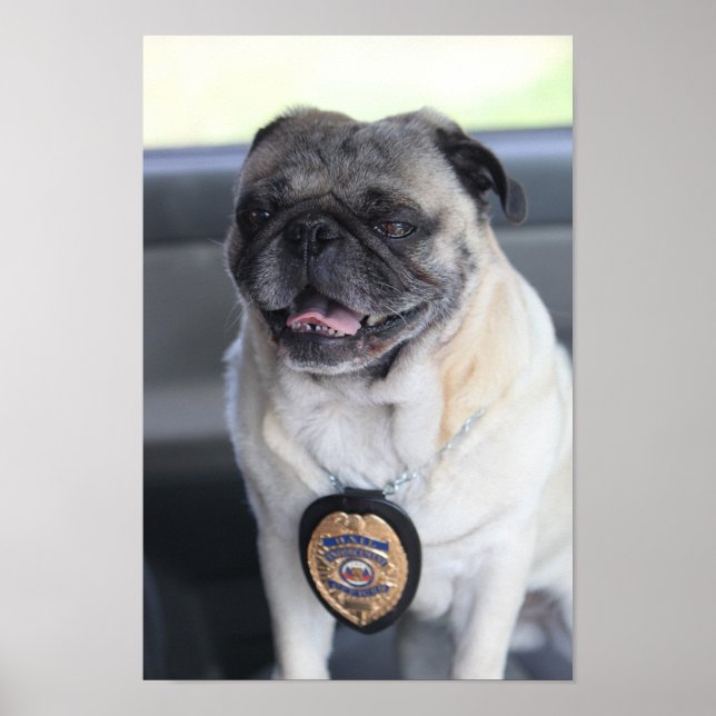 Poster Clark comme Carlin Le chasseur de primes (Devant)