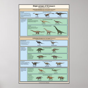 Poster Classification des dinosaures simplifiée