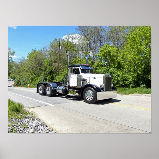 Poster classique de l'aiguille Nez Pete (Devant)