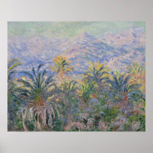 Poster Claude Monet   Palmiers à Bordighera