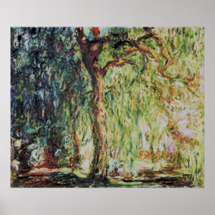 Poster Claude Monet - Willow en pleurs