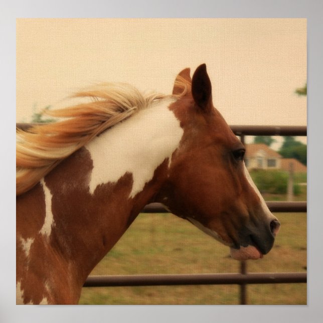 Poster clinquant (Devant)