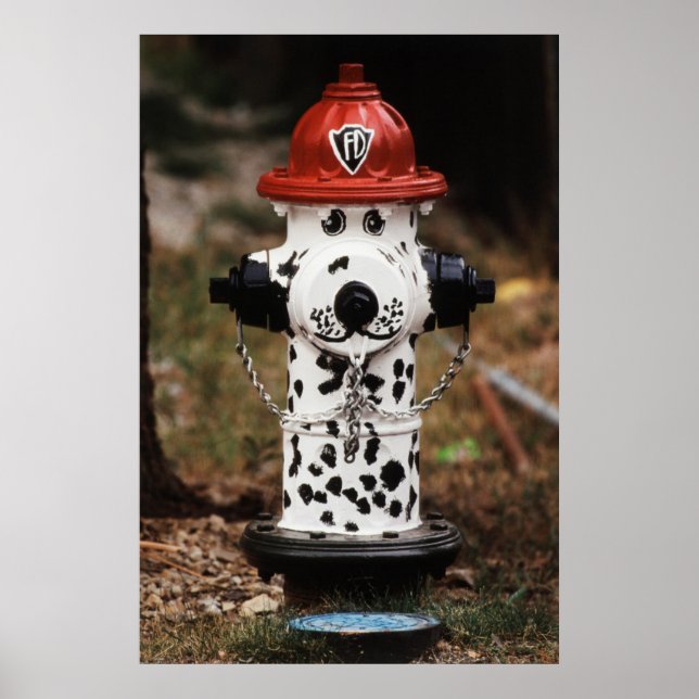 Poster Close-up of Fire Hydrant (Devant)