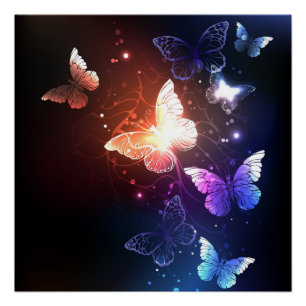 Poster Clowing Night Butterflies