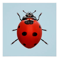 Coccinelle Chanceuse