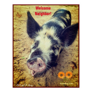 Poster Cochon animal - Vie de campagne