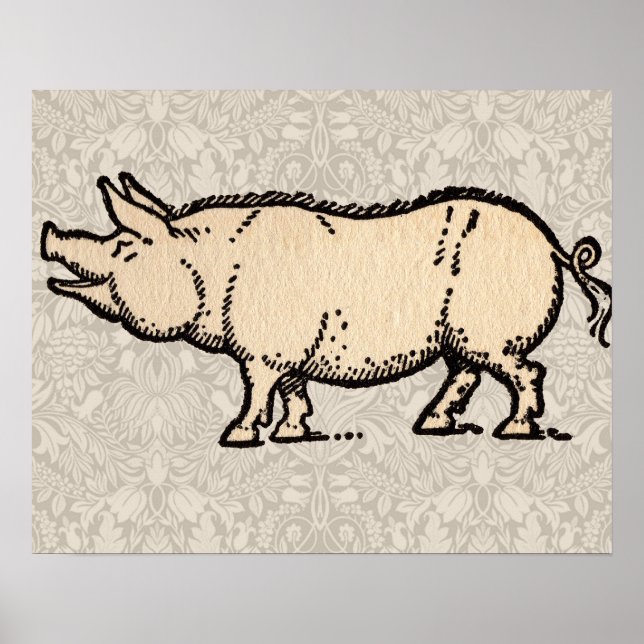 Poster Cochon Antique Porc Mignon Vintage (Devant)