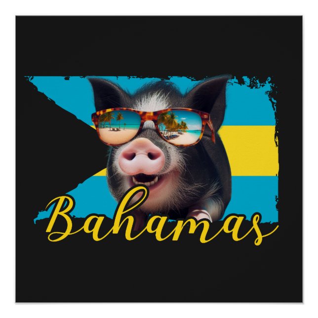 Poster Cochons Nageurs des Bahamas - Aventure à la Plage  (Devant)