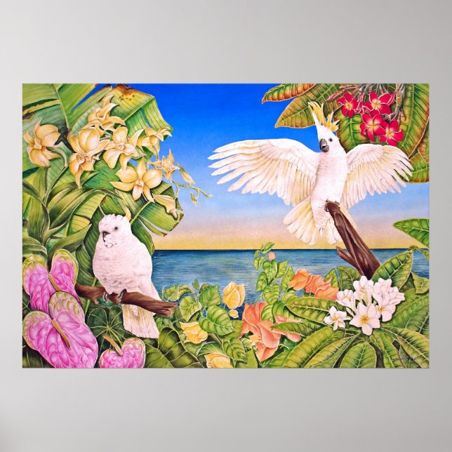 Poster Cockatoos à pâte sulfurée (Devant)